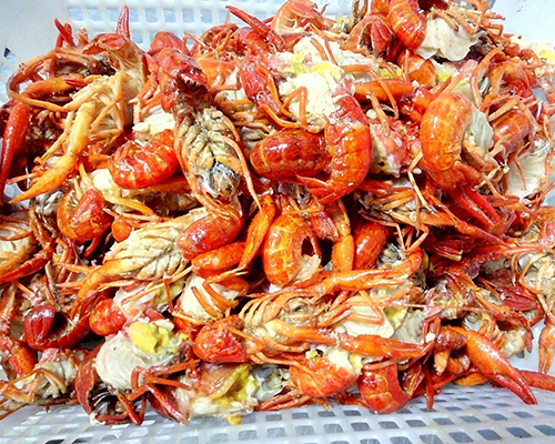 品牌龍蝦調(diào)料