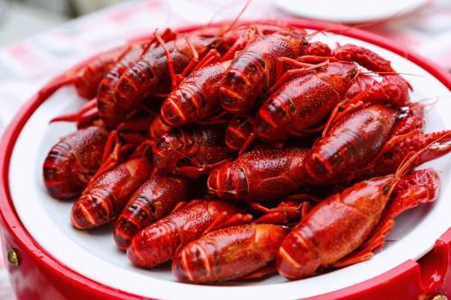 龍蝦調(diào)料廠家